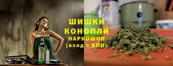 мдпв Тобольск