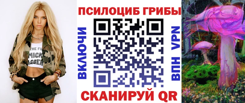кракен вход цены Андреаполь Псилоцибиновые грибы MAGIC MUSHROOMS